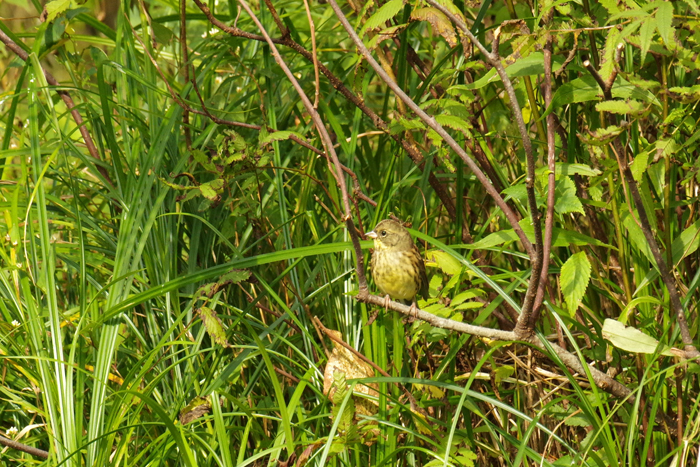 b0247838_1255418.jpg