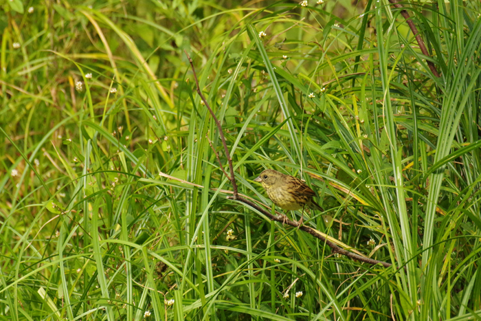 b0247838_12854.jpg