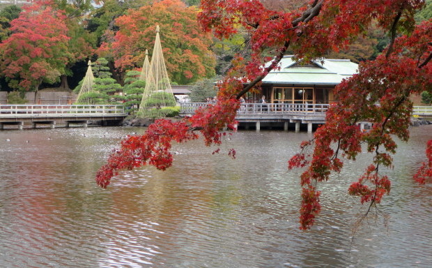 b0178339_14373127.jpg