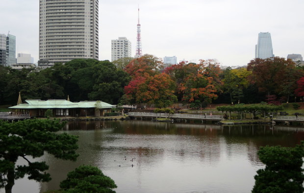 b0178339_16262378.jpg