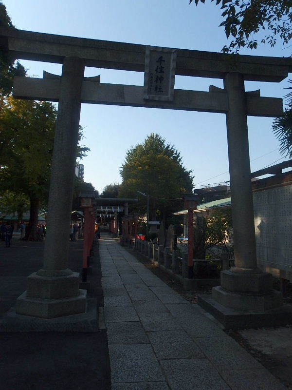 d0063149_11350992.jpg