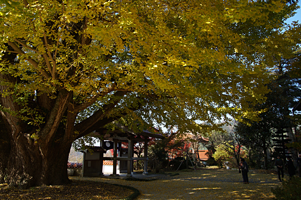 f0214649_572447.jpg