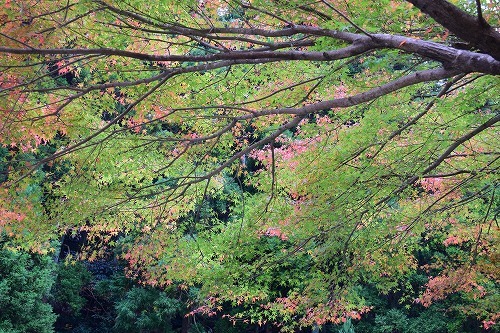 f0343750_22593613.jpg