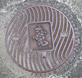 f0202151_22561048.jpg