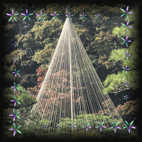 b0133752_175389.gif