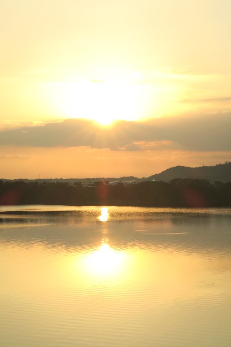 e0348754_06314019.jpg