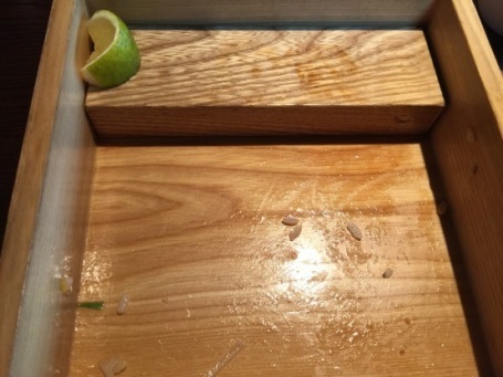 b0300759_09192443.jpeg