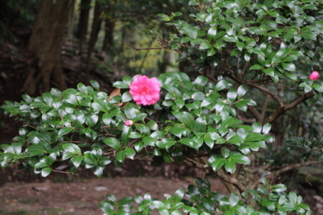 b0300759_09233375.jpg