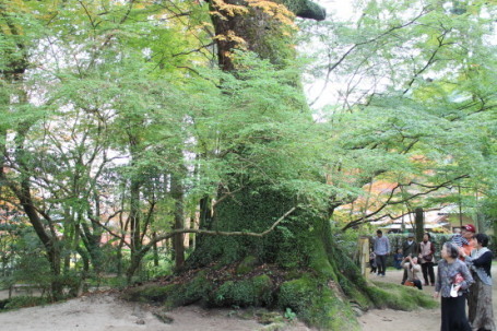 b0300759_09240060.jpg