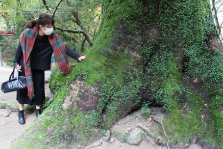 b0300759_09241689.jpg