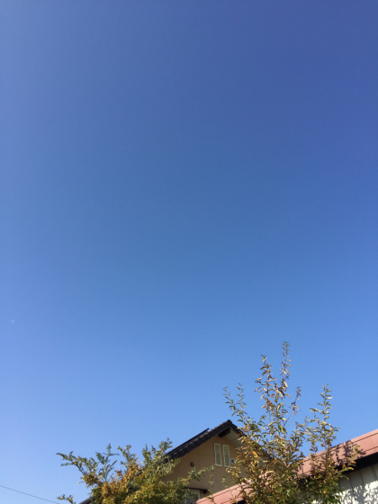 f0368662_15435775.jpg