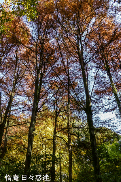 e0346064_19181816.gif