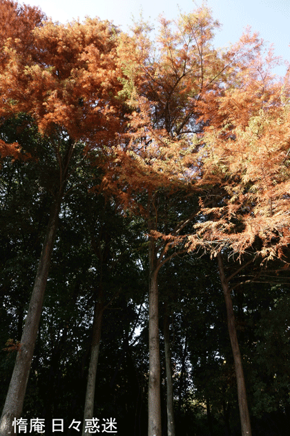 e0346064_19181836.gif