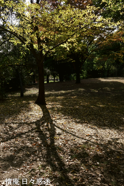 e0346064_19181970.gif