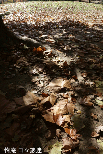 e0346064_19243268.gif