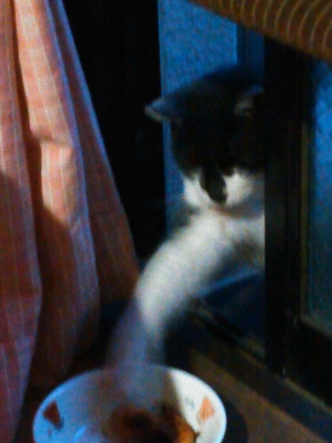 c0162773_00062662.jpg