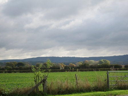 a0208783_5145241.jpg