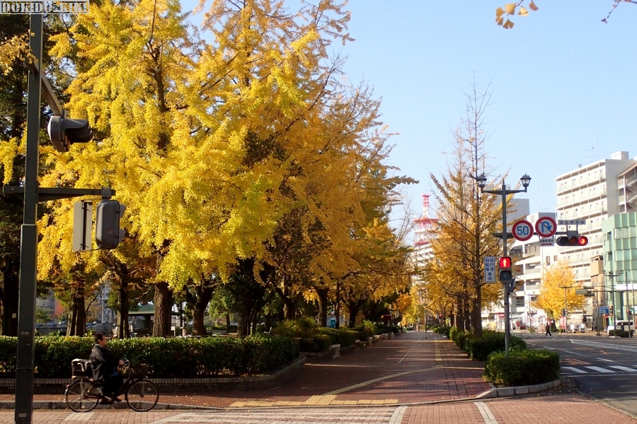c0220084_21575495.jpg