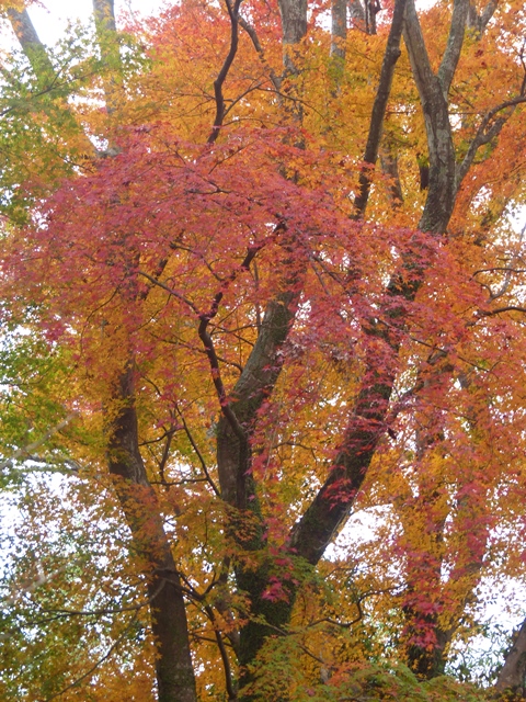 f0357487_22491840.jpg