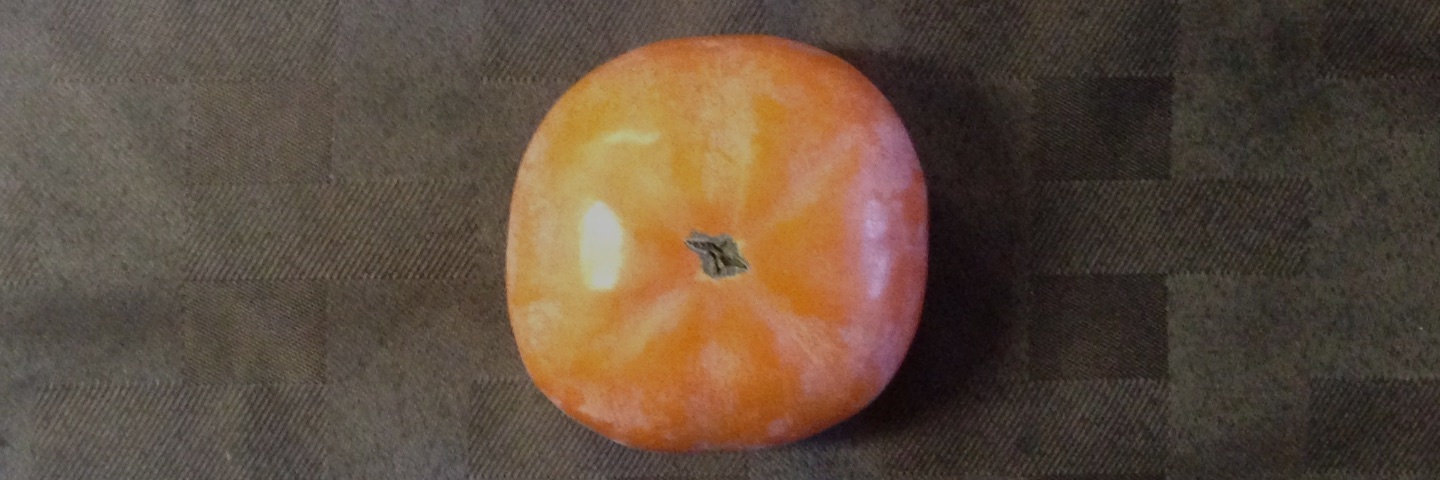 c0170789_23373764.jpg