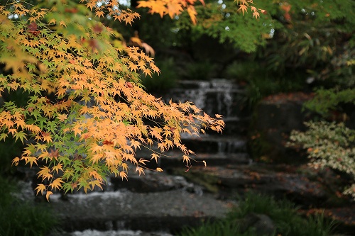 a0222494_11291383.jpg