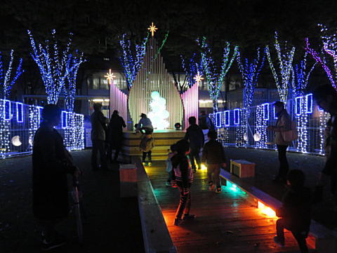 d0046702_6112558.jpg