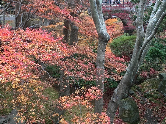 a0337807_16001937.jpg