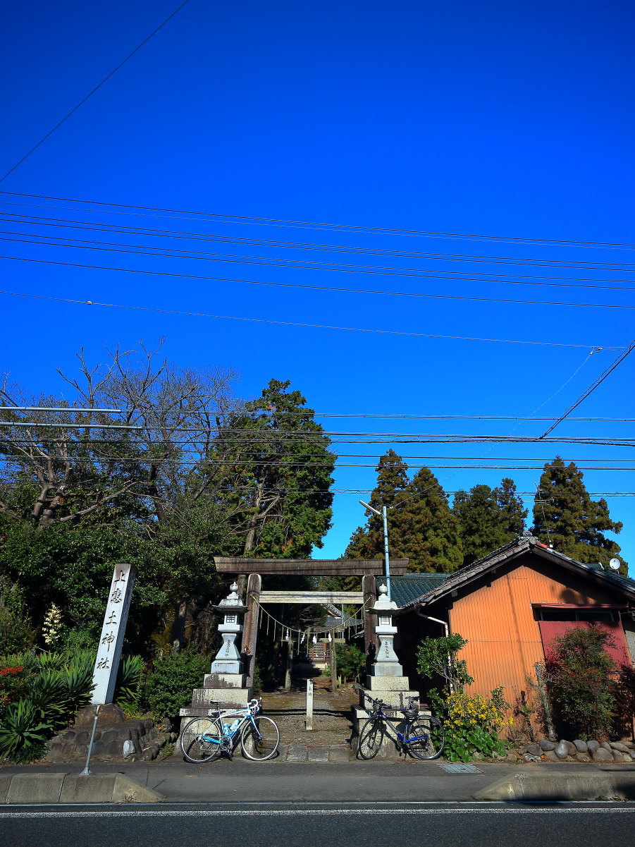 e0009009_21342665.jpg