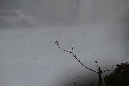 f0325309_14105611.jpg