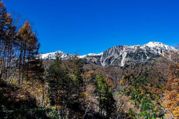 b0244811_012594.jpg