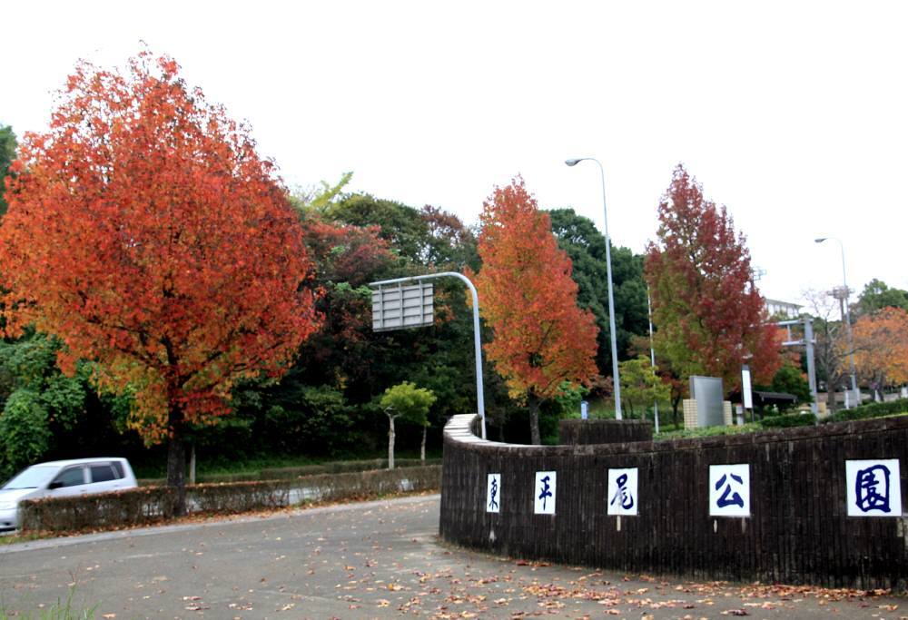 f0212511_14335613.jpg