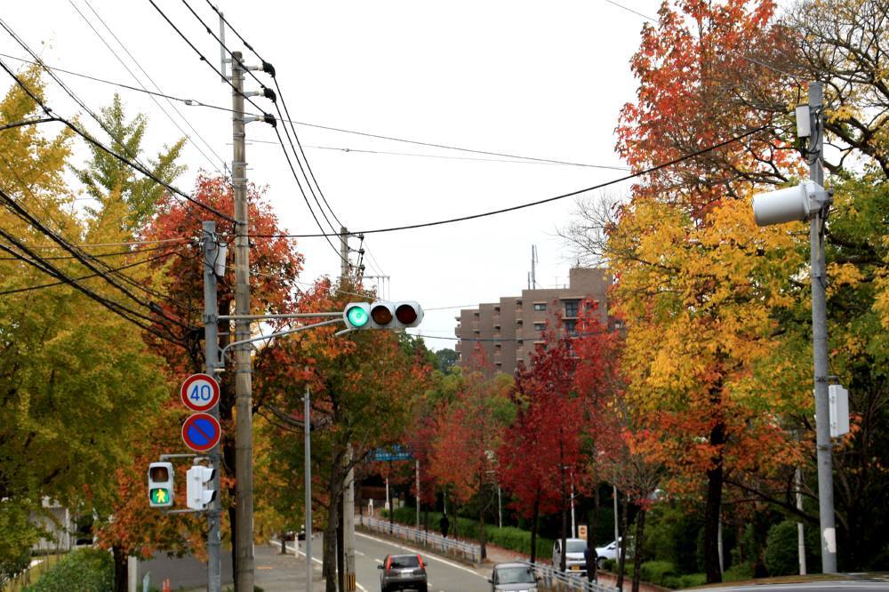 f0212511_14340548.jpg