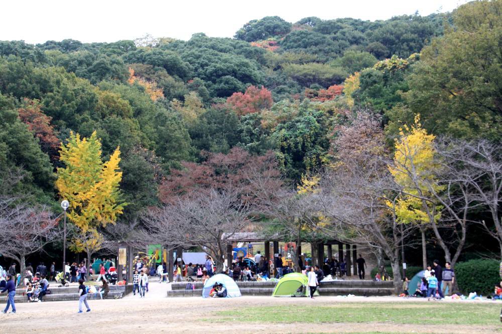 f0212511_14341409.jpg
