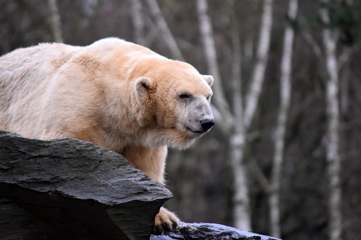 a0151913_20322573.jpg