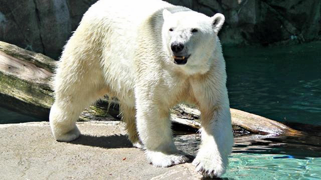 a0151913_2204560.jpg