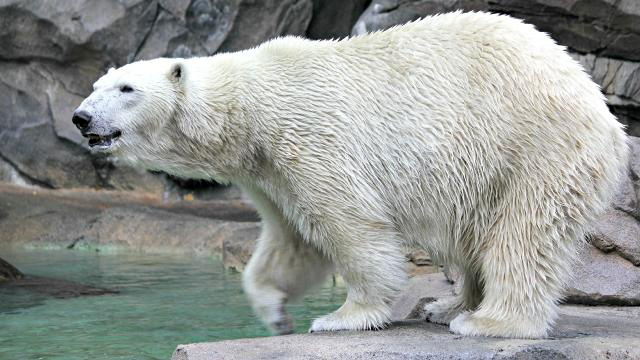 a0151913_2205363.jpg