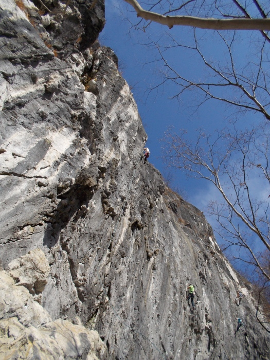 b0037220_23125679.jpg