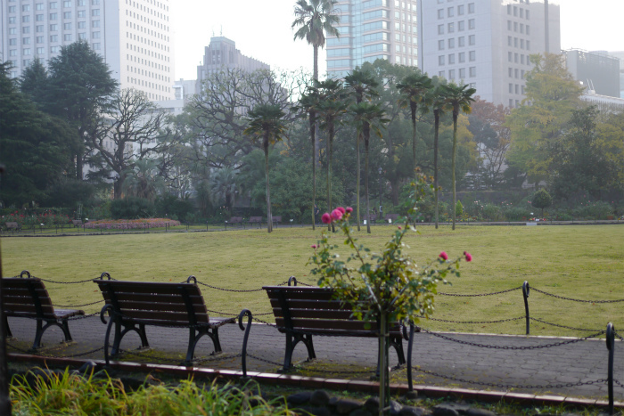 a0335421_15323501.jpg