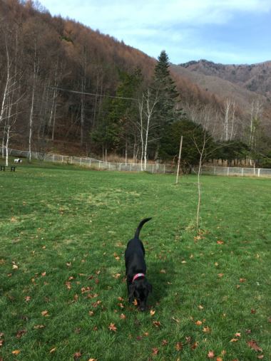 c0114121_0255656.jpg
