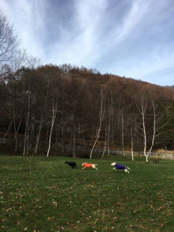 c0114121_0335077.jpg