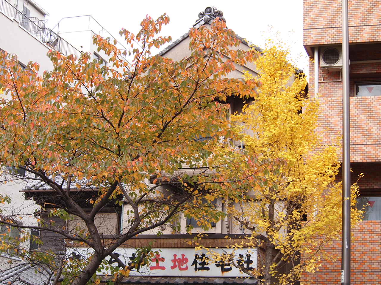 a0214329_1324167.jpg