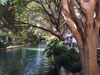 c0051529_21392190.jpg