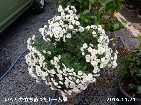 e0033229_17372311.jpg
