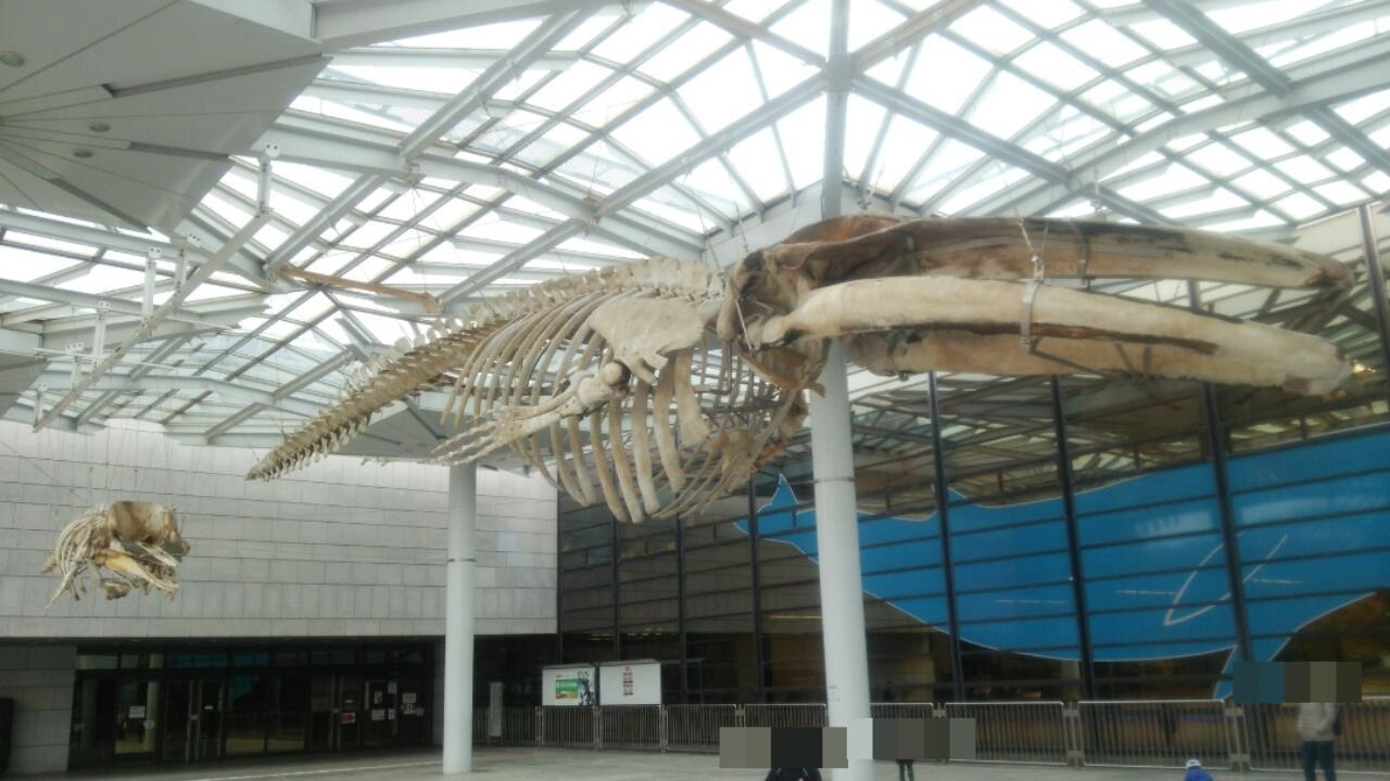c0337631_21171289.jpg