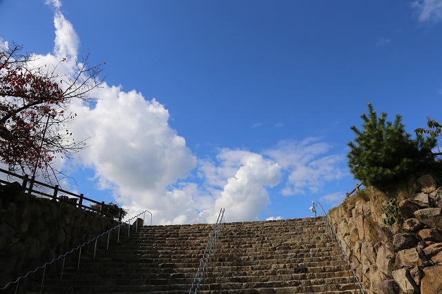 a0242438_18482487.jpg