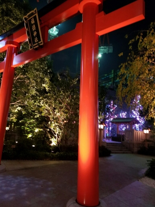 a0105740_07215371.jpg