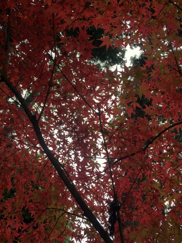 b0057140_16191194.jpg