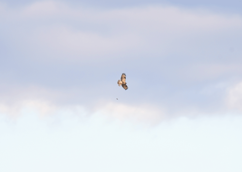 d0290240_15132839.gif