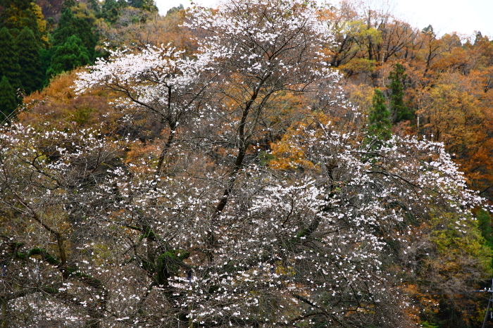 f0346740_19302381.jpg