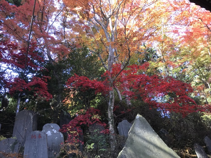 f0189246_7513522.jpg